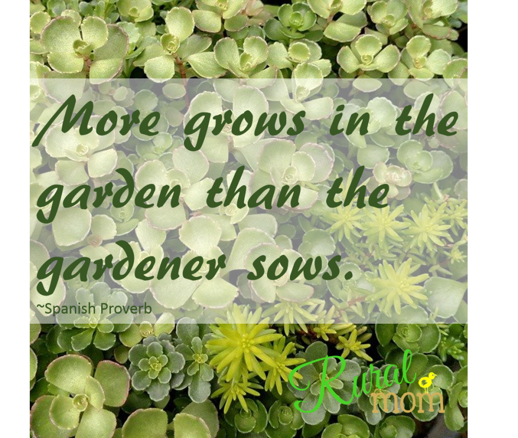 7 Gardening Quotes and Blooms to Inspire Your Spring Planting