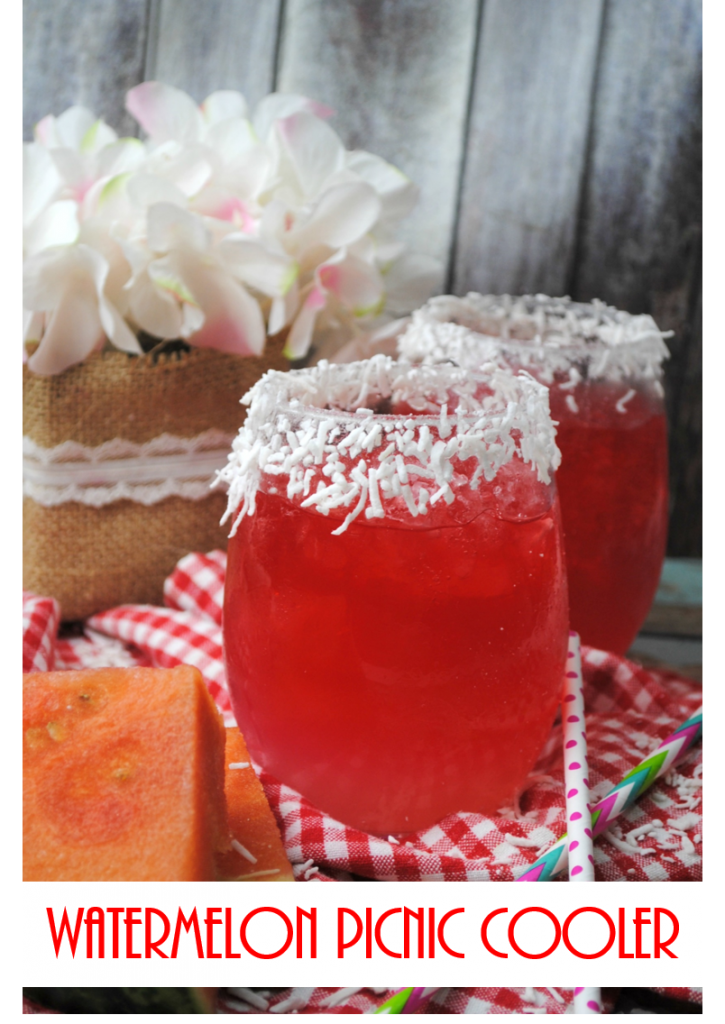 Watermelon Picnic Cooler Cocktail Rural Mom