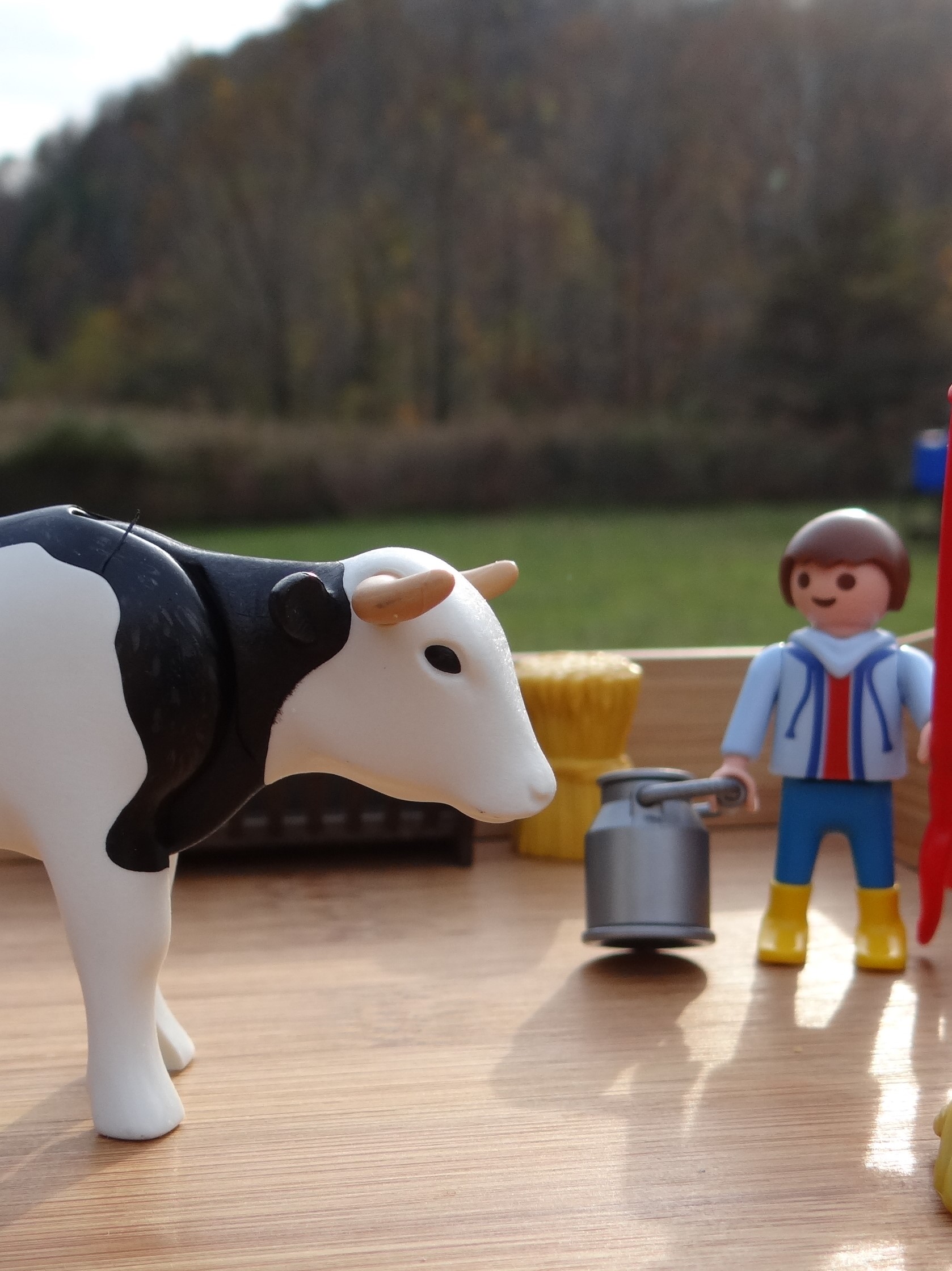 PLAYMOBIL Christmas On The Farm Advent Calendar For Kids Rural Mom