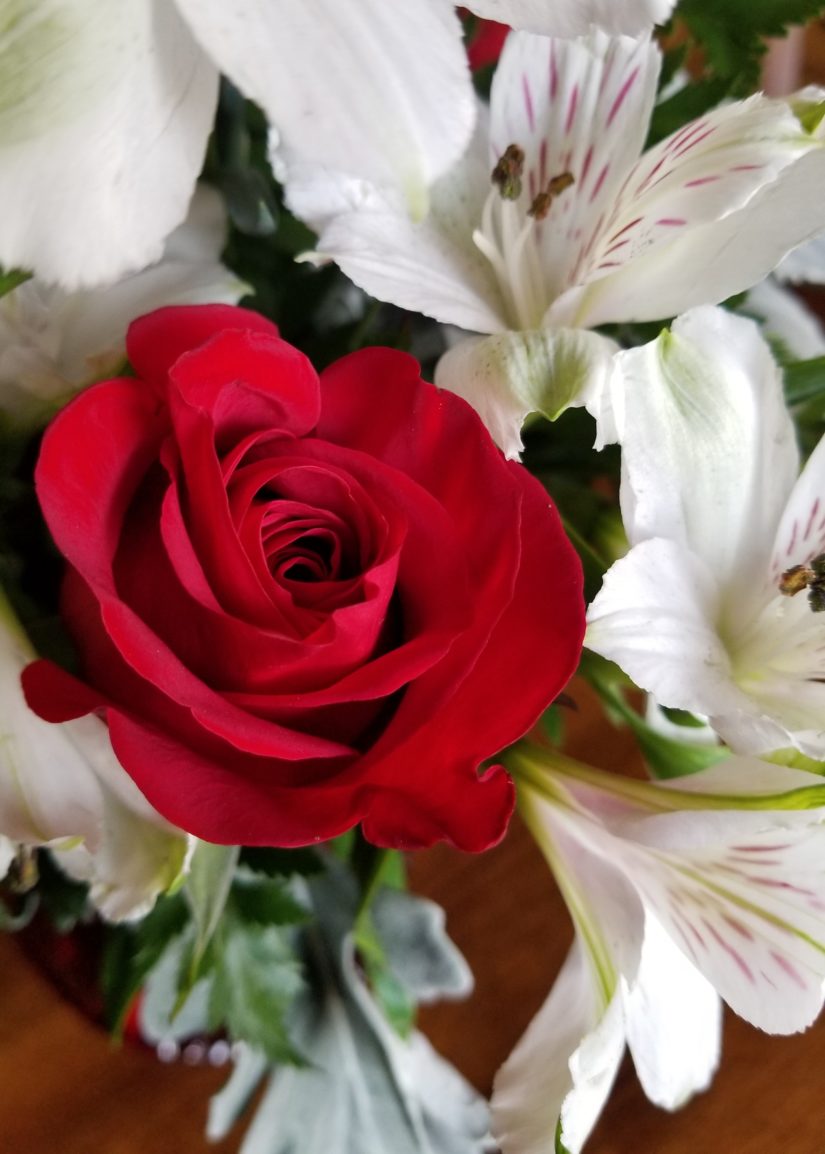 What are the best flowers to give on Valentine's Day? Rural Mom