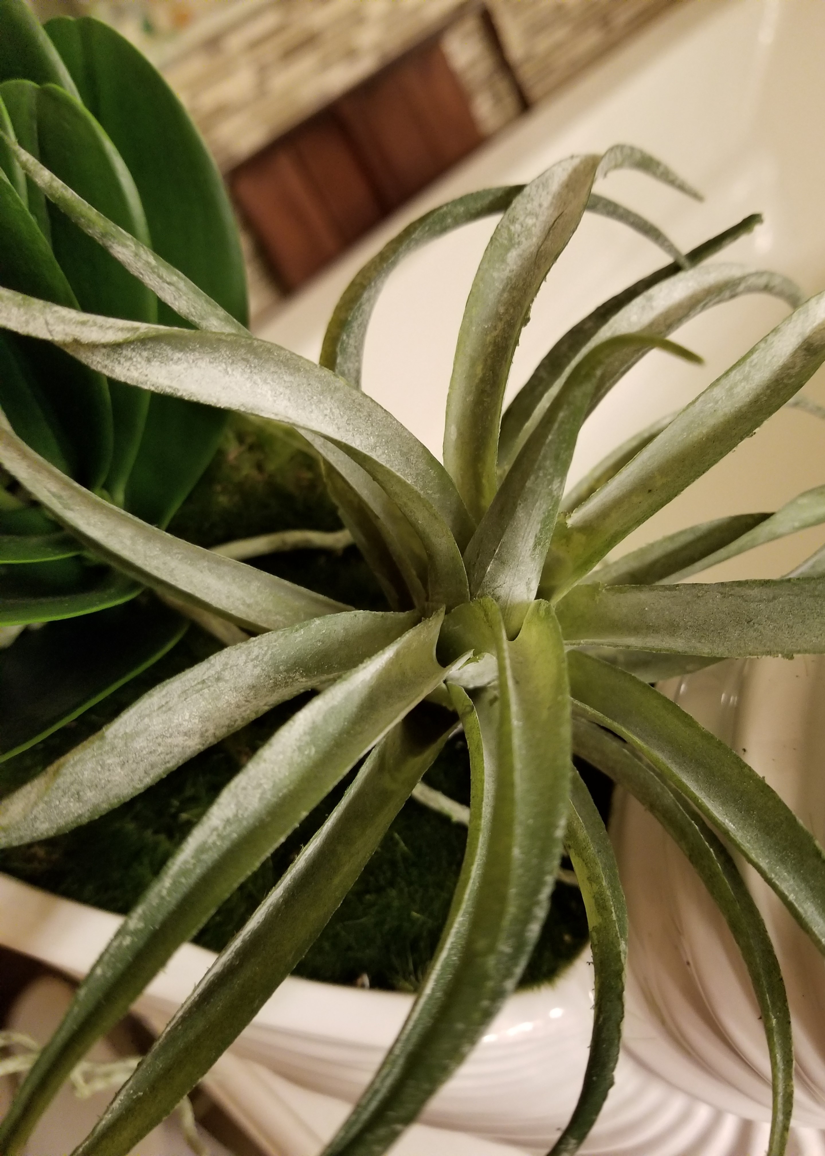 Can Silk Flowers Look Real? Rural Mom