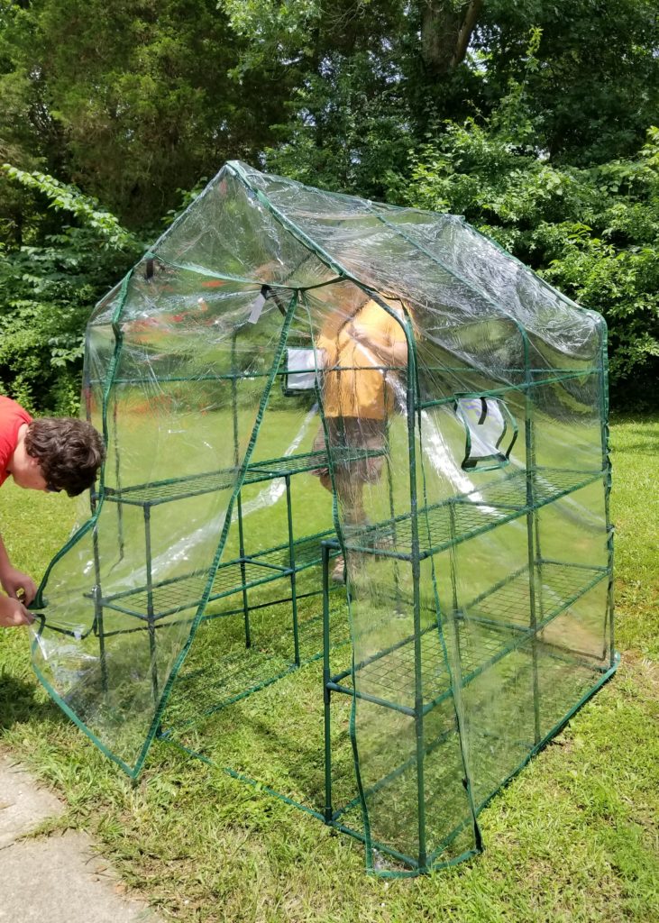 This Summer, Get Started with Greenhouse Gardening
