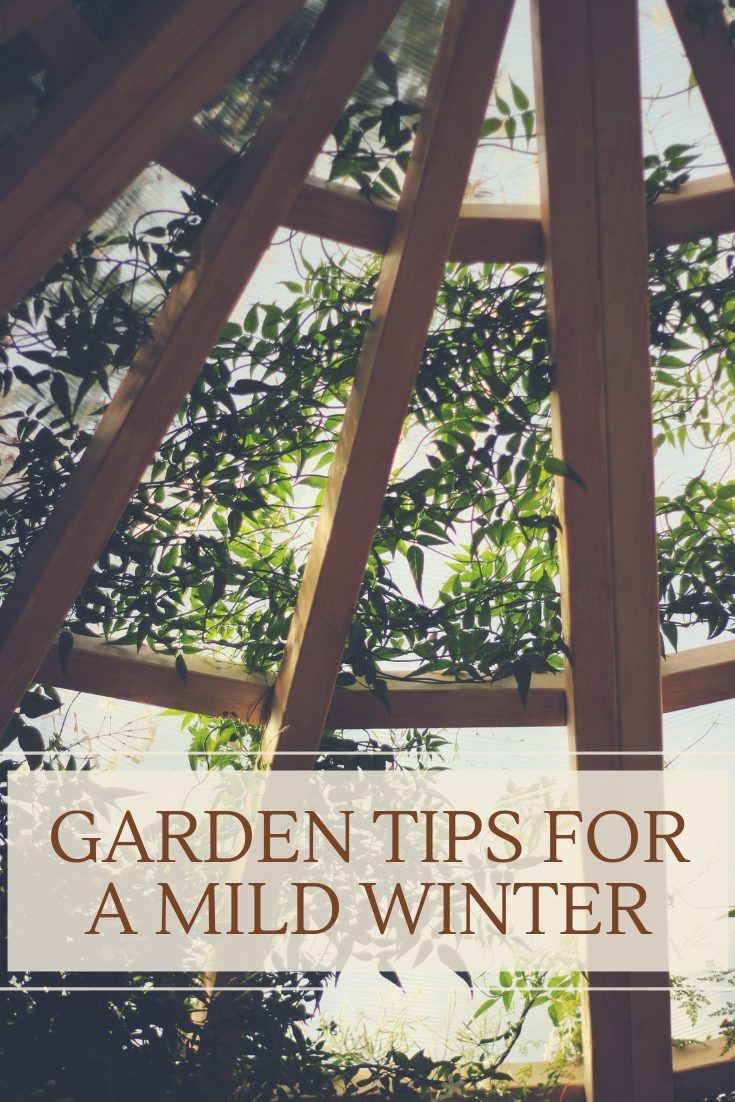 Garden Tips for a Mild...