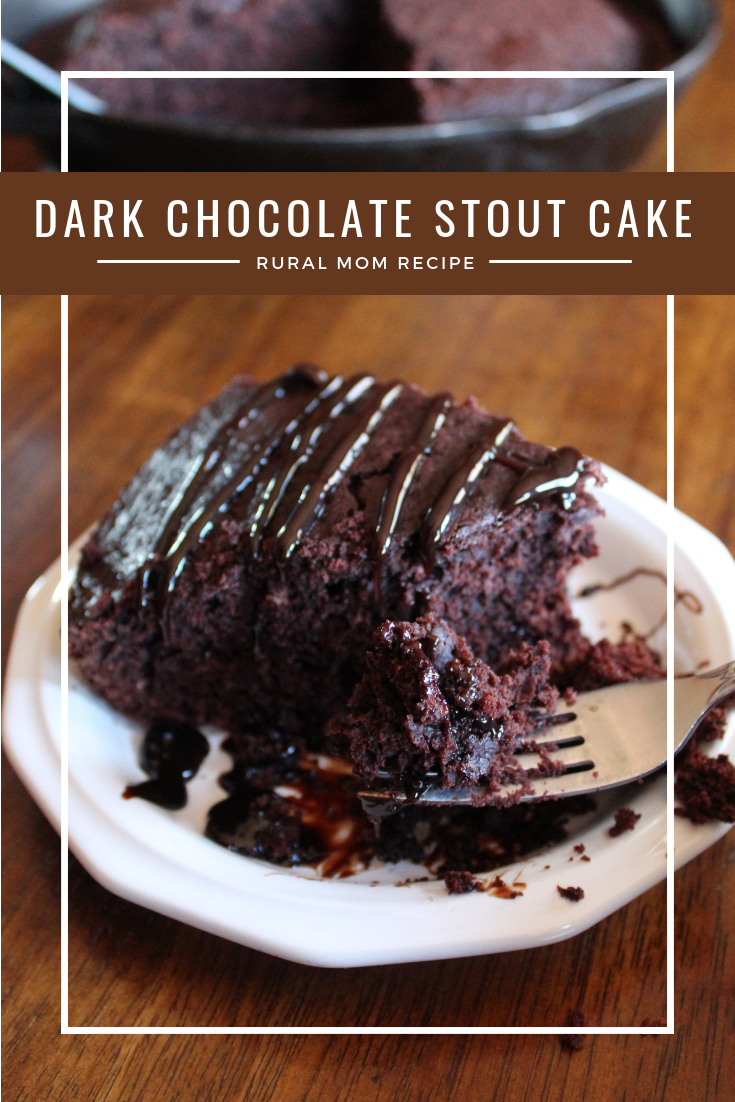Dark Chocolate Stout Cake