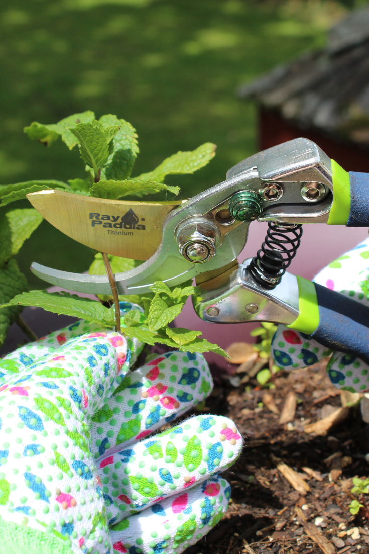 12 Essential Garden Tools Every Gardener Needs Rural Mom