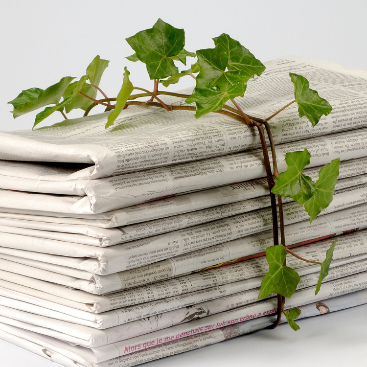 8 EcoFriendly Ways to Recycle Newspaper Rural Mom