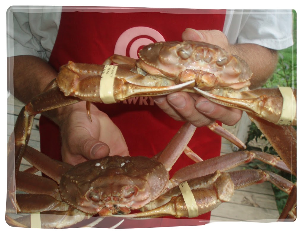 Live Snow Crabs in Kentucky Rural Mom WickedGood Kentucky Crab Boil