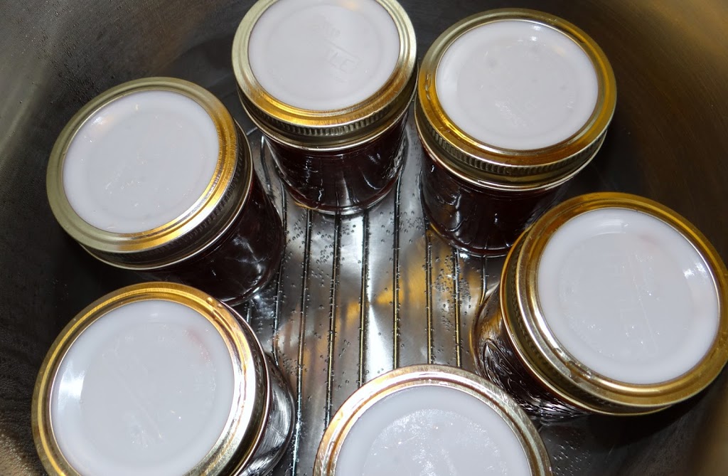 Tattler Reusable Canning Lids Eco Diy Rural Mom If Their Superior Performance Wasn T Enough To Love Tattler Reusable Canning Lids Are Bpa Free Made In America And Very Reasonably Priced