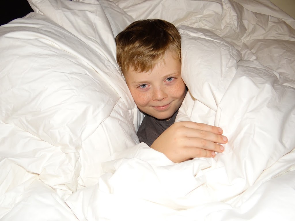 Snuggle Up with Down Comforter Care Tips Rural Mom
