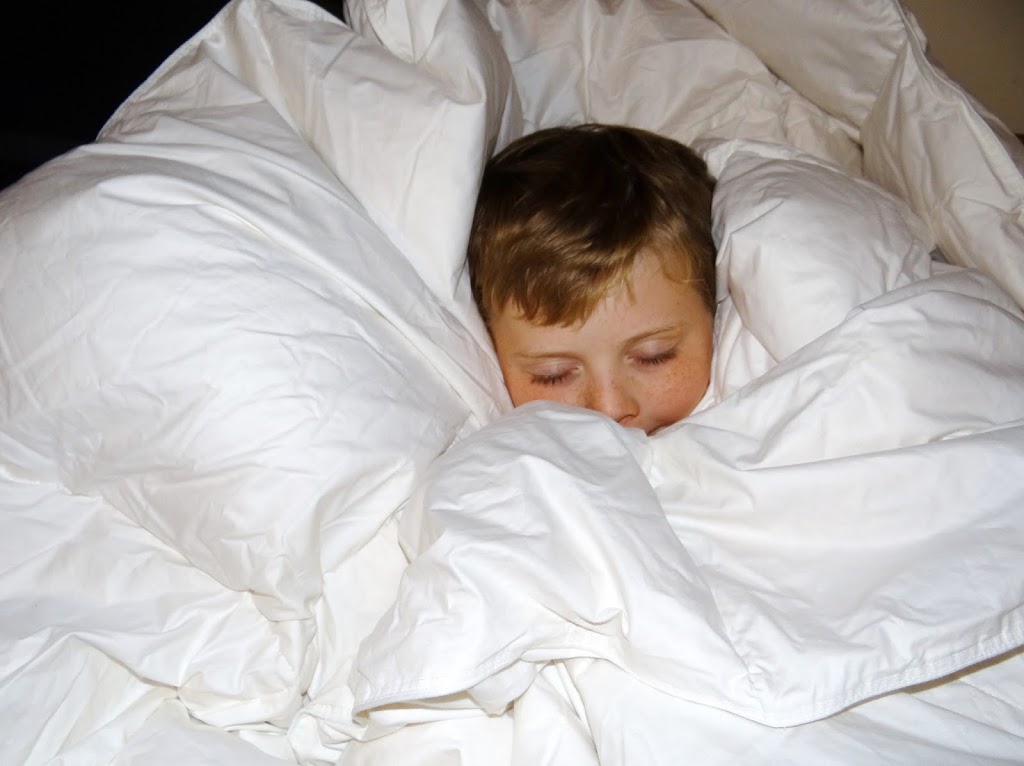 Snuggle Up with Down Comforter Care Tips Rural Mom