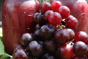 Grape Jelly Low Sugar Canning #Recipe