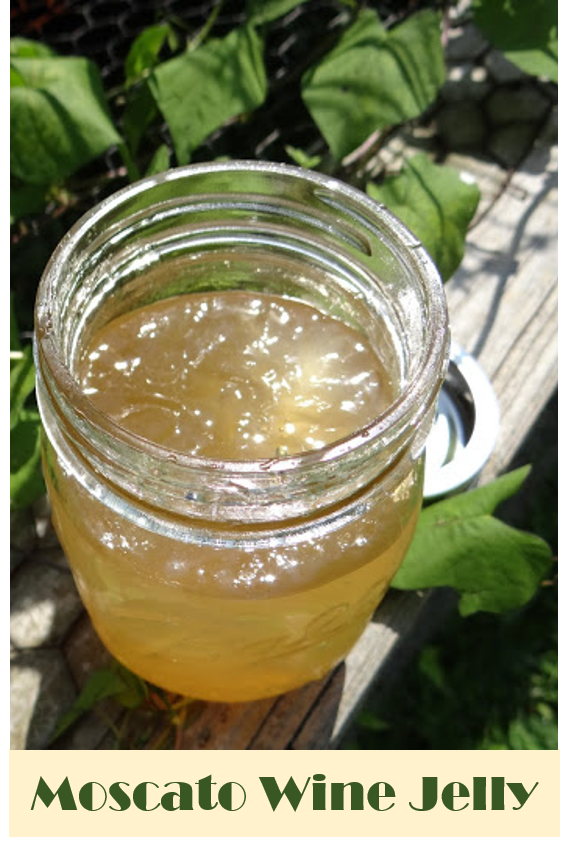 Moscato Wine Jelly Recipe Rural Mom
