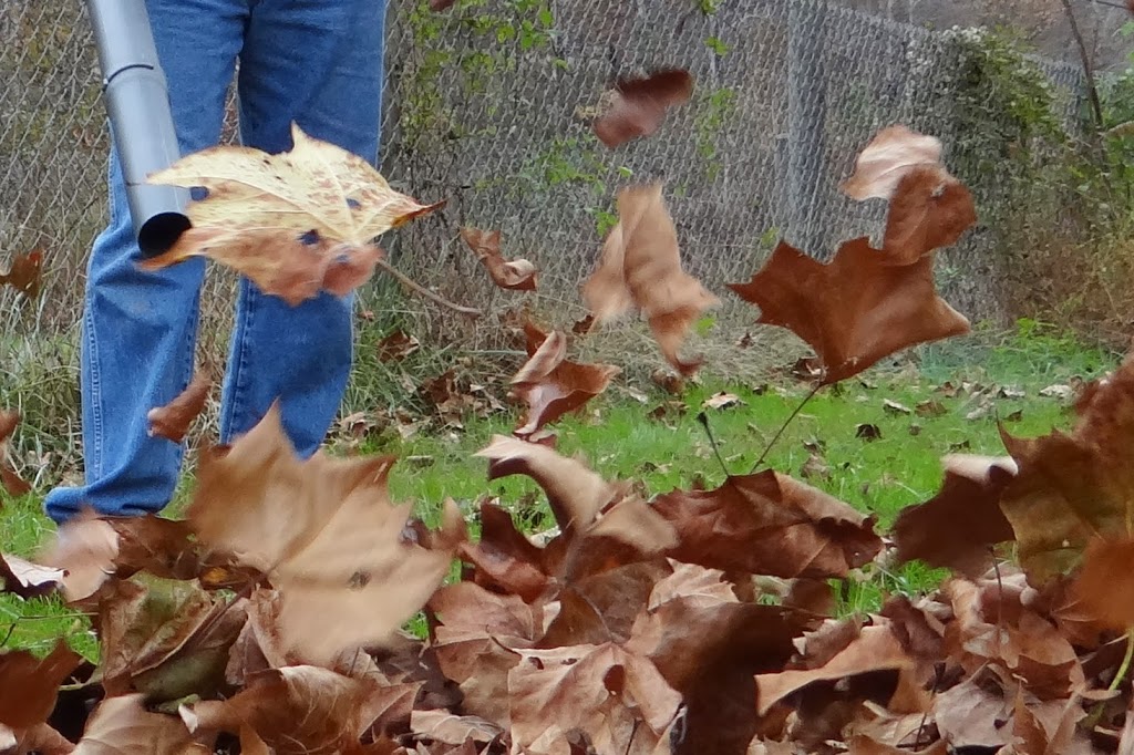 Backyard Cleanup Made Easy with RYOBI 2Cycle Backback Blower Rural Mom