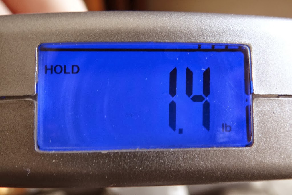 No More Weighing in Line! Precision Voyager Luggage Scale Travel Rural Mom