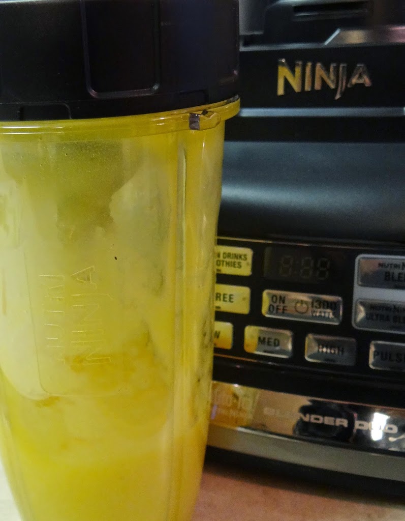 Nutri Ninja Ninja Blender DUO with AutoIQ Review Rural Mom
