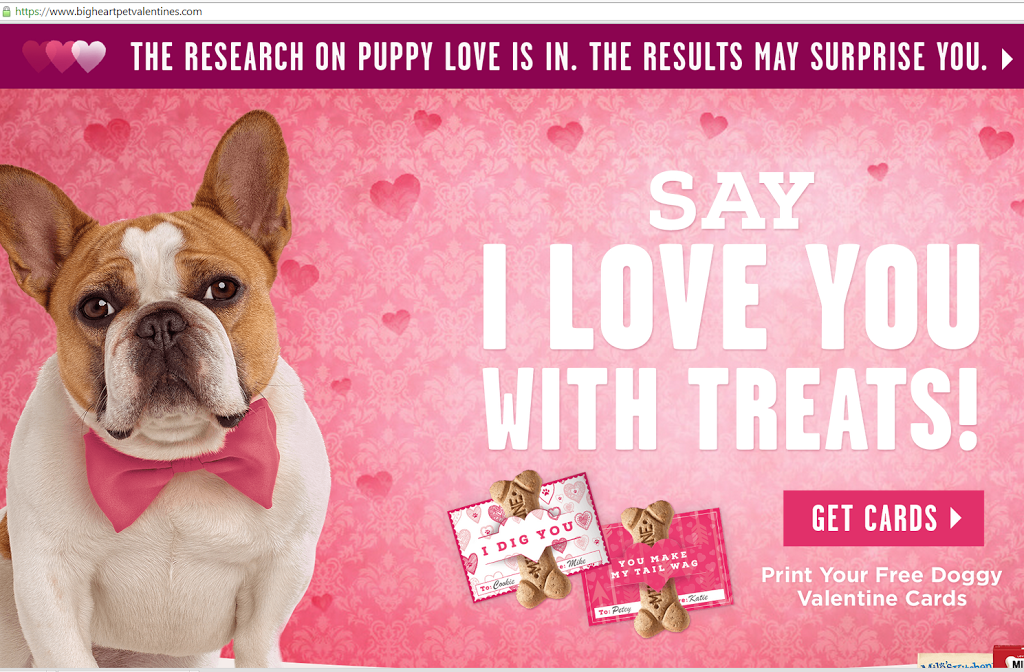 Are Milo S Kitchen Dog Treats Safe Are Milo S Kitchen Dog Treats Safe