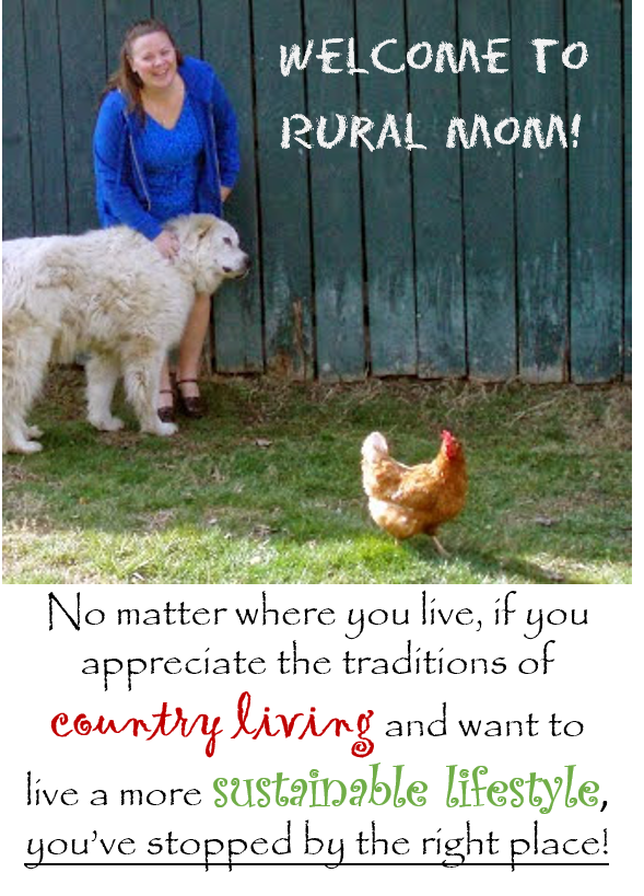 Rural Mom mission