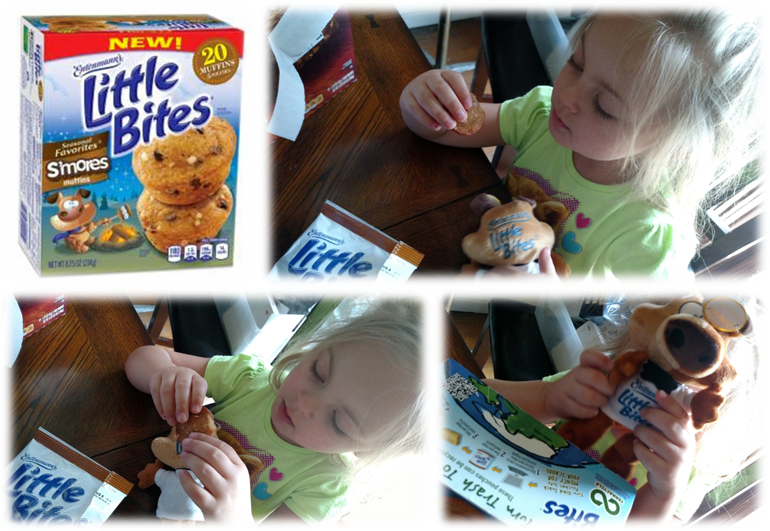 Little Bites S Mores Giveaway Rural Mom