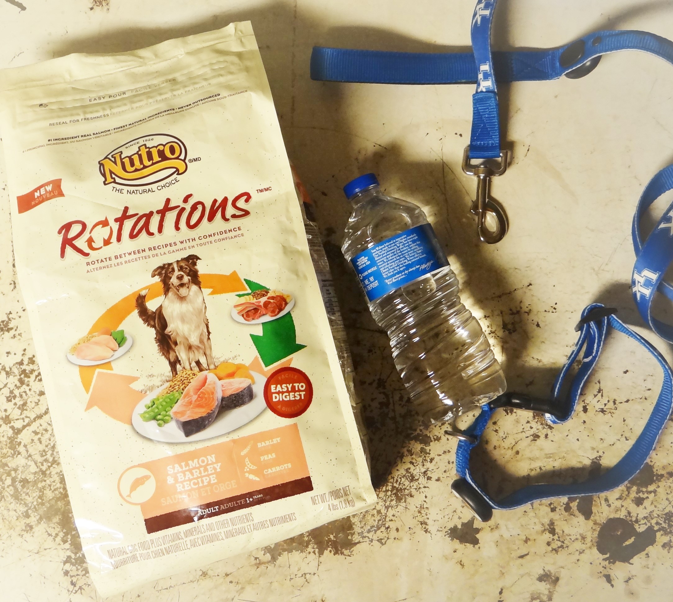 Tips for Traveling with Large Breed Dogs HonestToDog Rural Mom