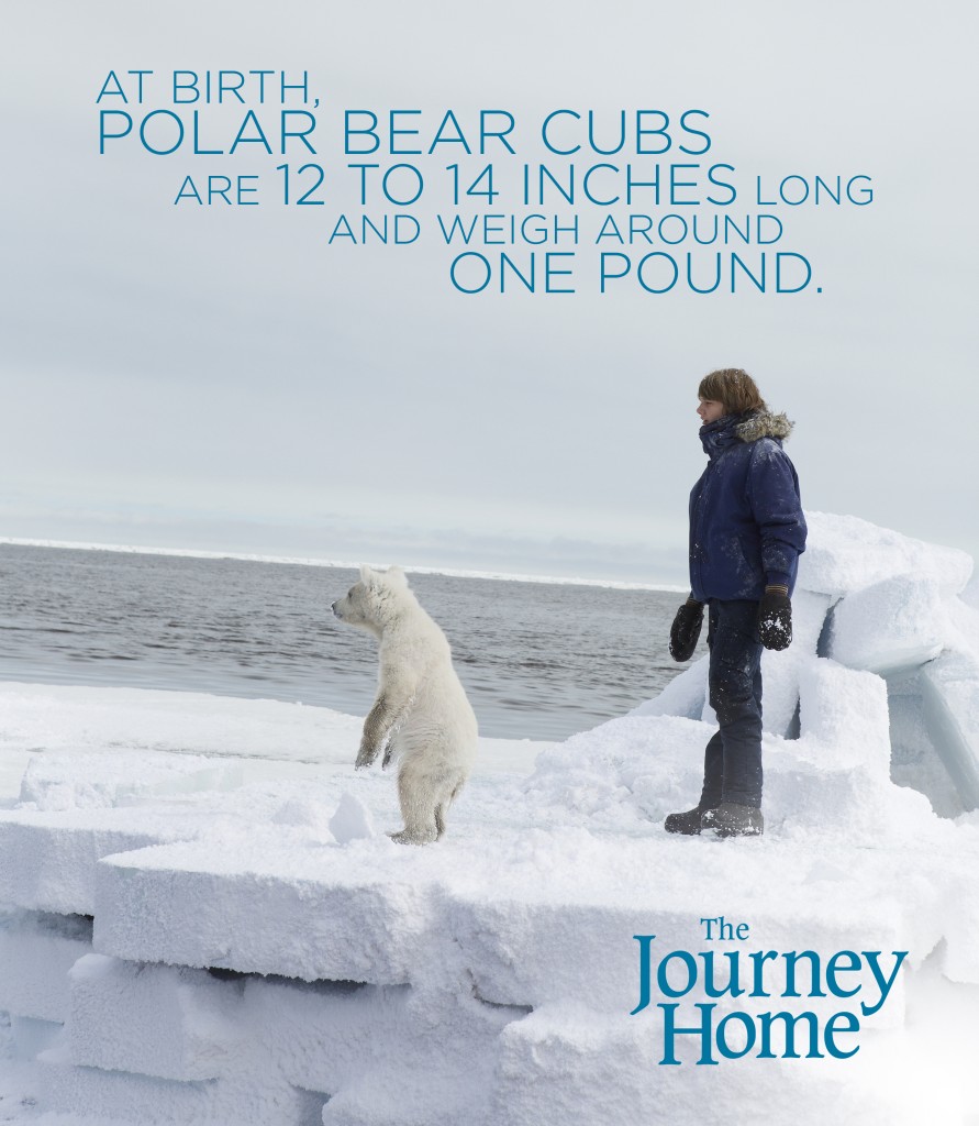 The Journey Home Giveaway #TheJourneyHome Rural Mom