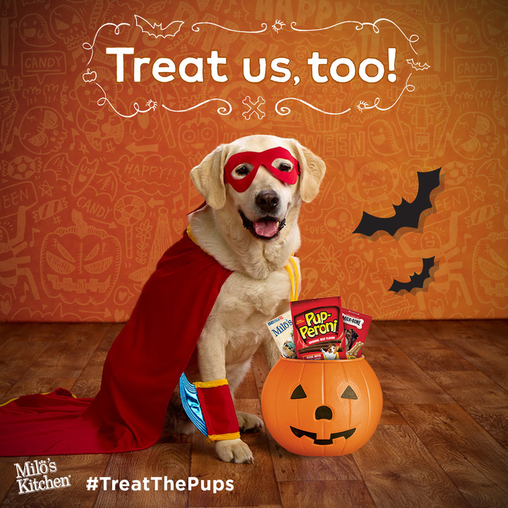 Halloween Hounds get in on the fun MilkBone study shows dogs are