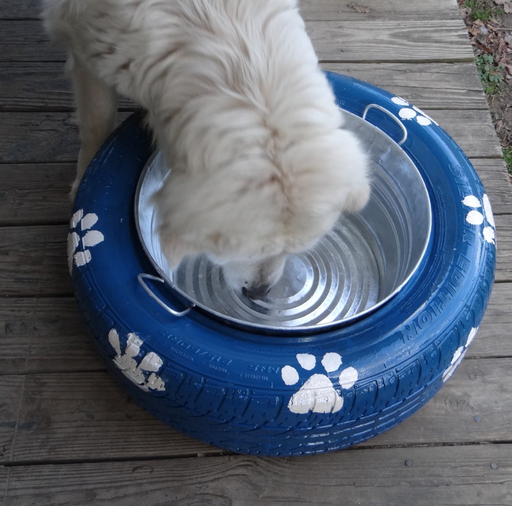 spill free dog water bowl