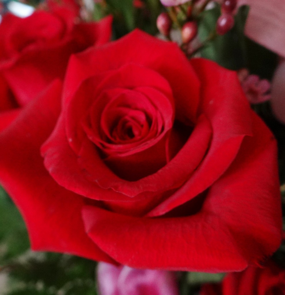 Can't Find the Right Words? Check out the FREE Teleflora Love Note Concierge!