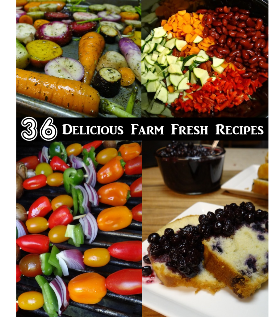 36 Farm Fresh Recipes to Try This Week Rural Mom