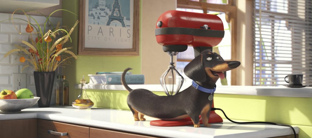 The film that gives us a glimpse into what our pets are up to, The Secret Life of Pets, is now available to own on Digital HD!  