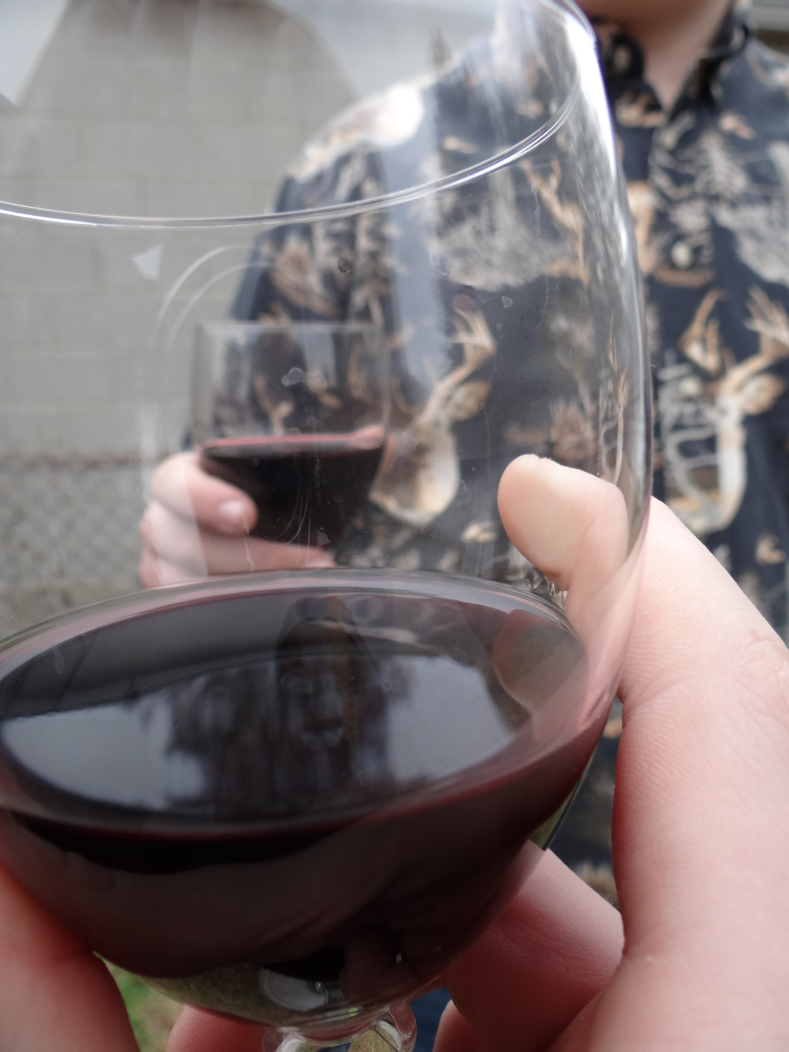 Red or White? Wine Pairing Tips for the Holidays Rural Mom