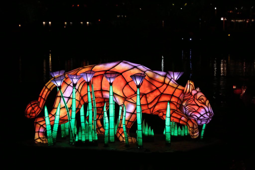 Nature's New Celebration - Animal Kingdom Rivers of Light