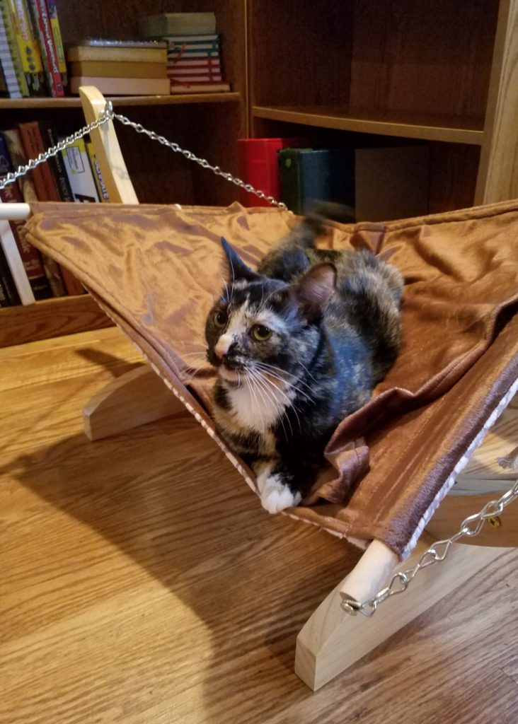 Farm Kittens and Cat Hammocks Rural Mom