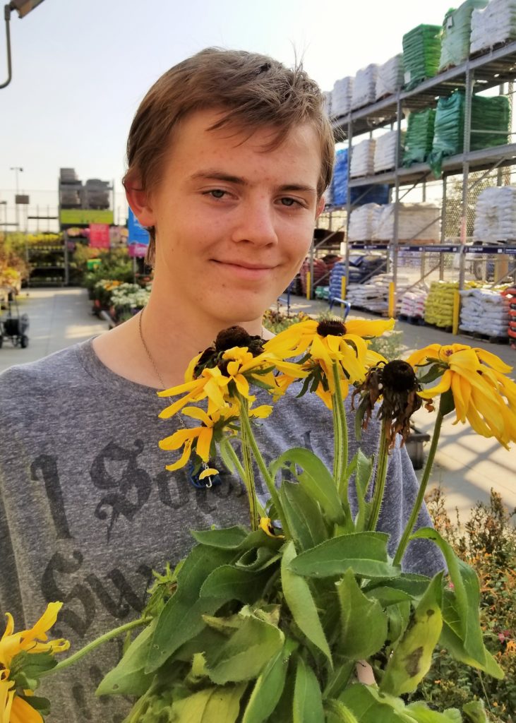 What Are Bee-Friendly Plants? | Plant a Bee Garden!