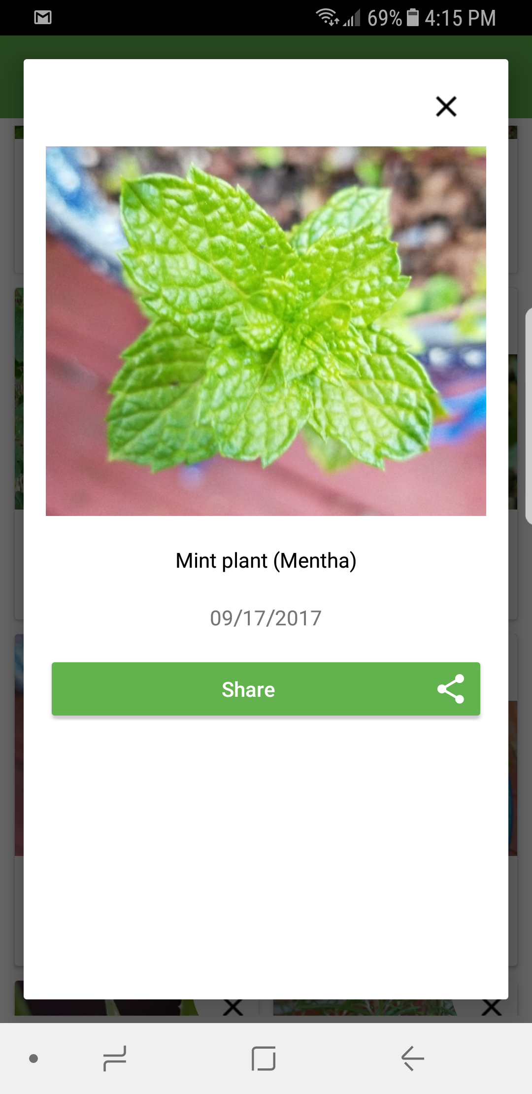Instantly Identify any Plant or Tree with PlantSnap! Rural Mom