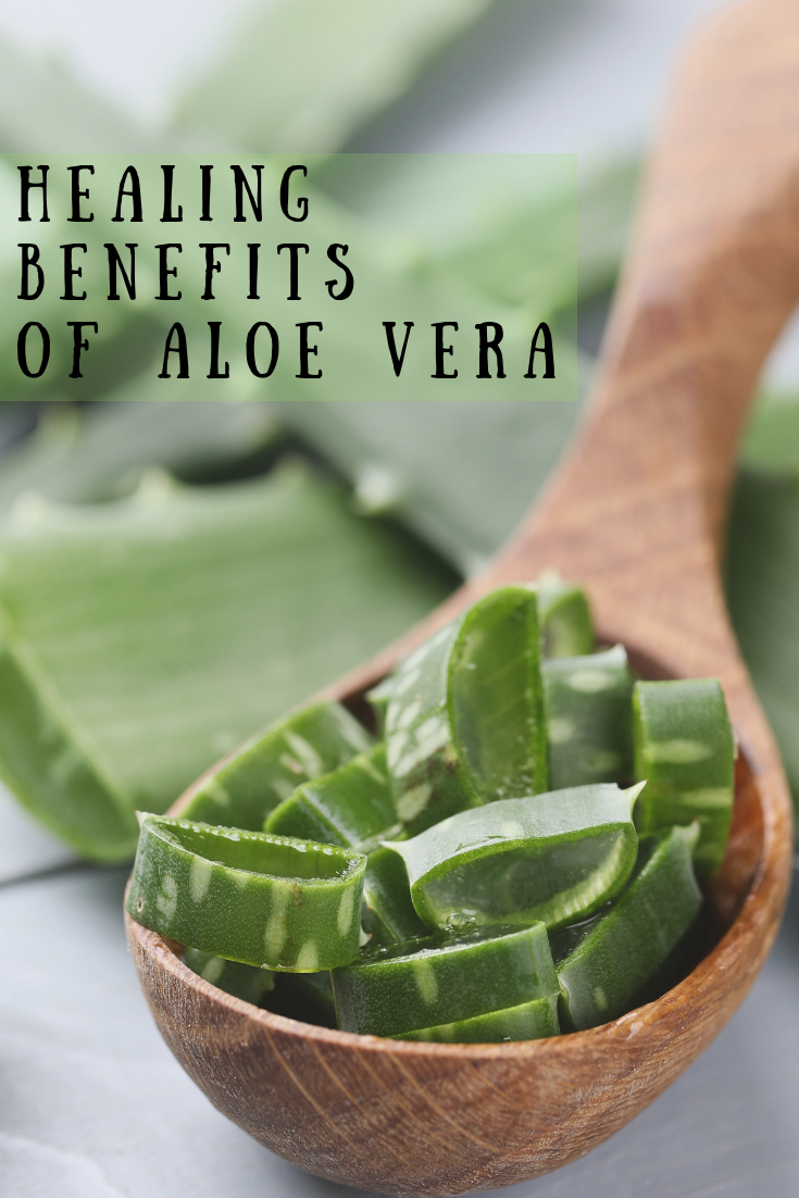 Healing Benefits of Aloe Vera