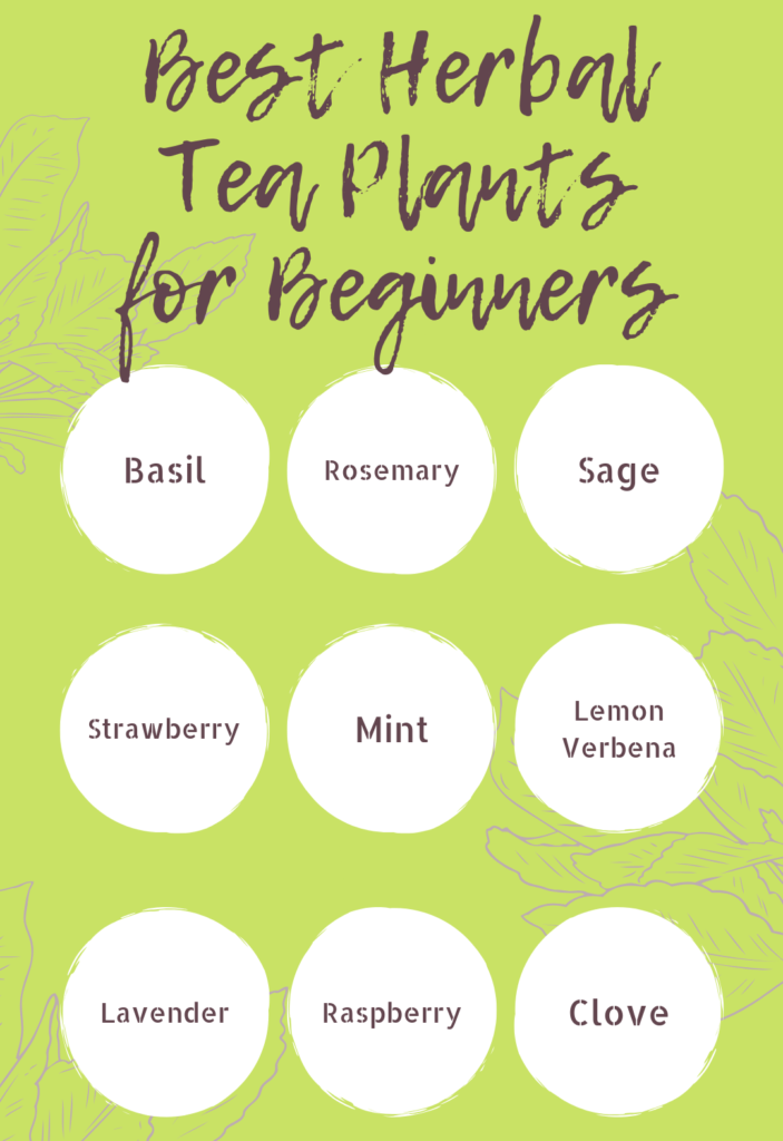 How To Make Your Own Herbal Teas