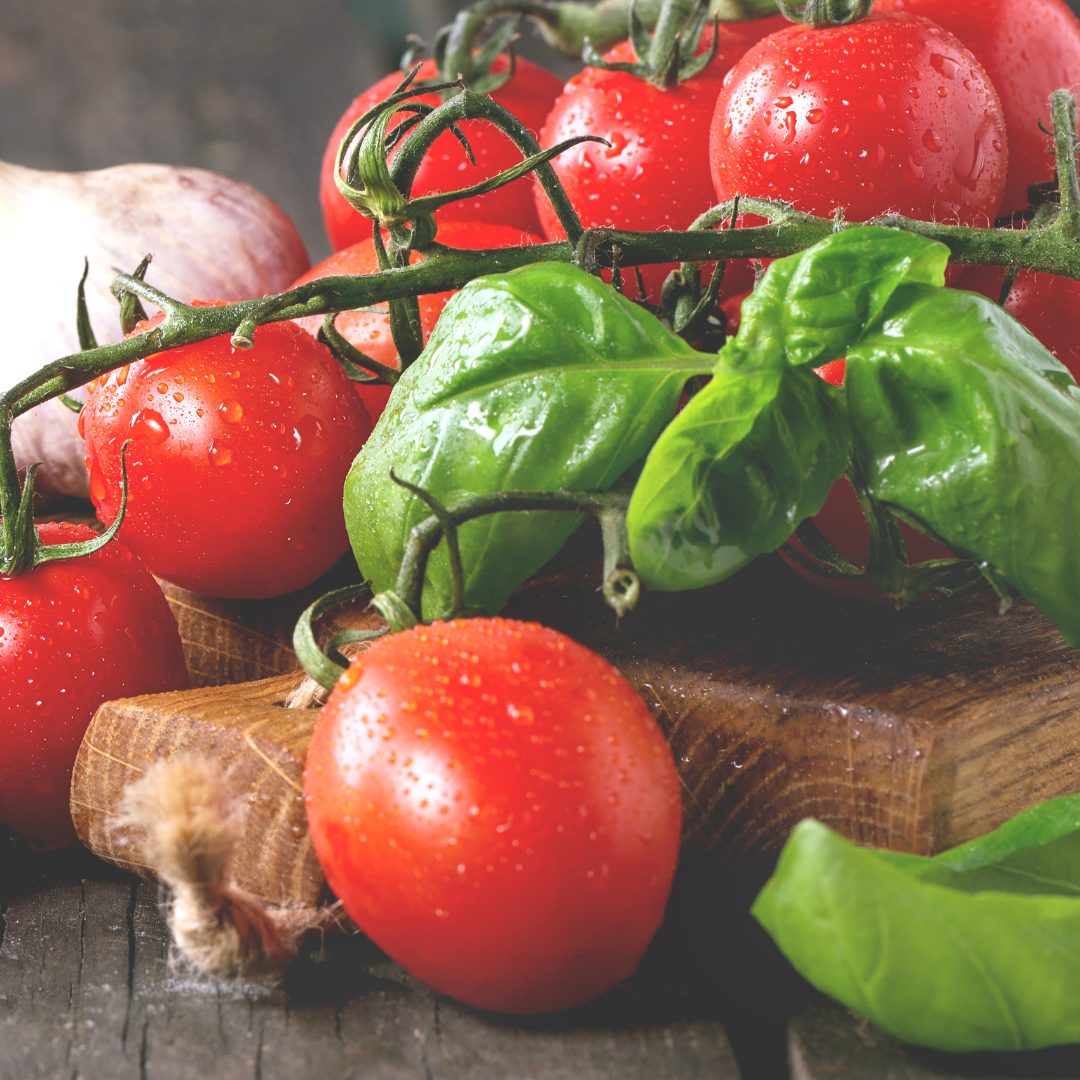 Best Companion Plants for Your Tomato Garden Rural Mom