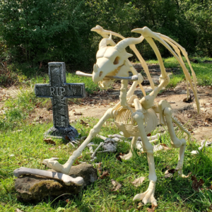 Create A Spooky Halloween Graveyard Rural Mom