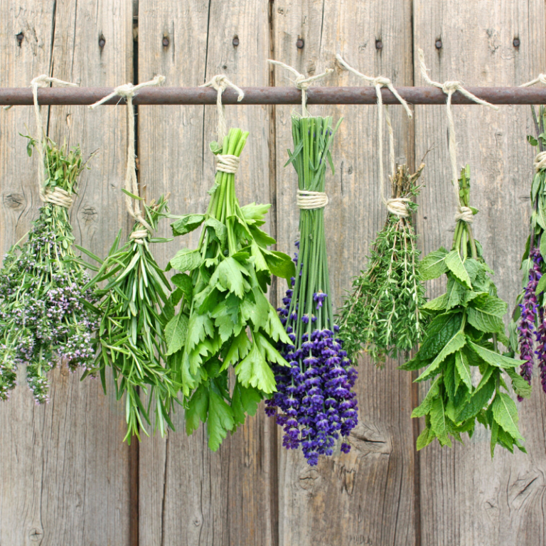 How Long Should You Keep Spices And Herbs Rural Mom