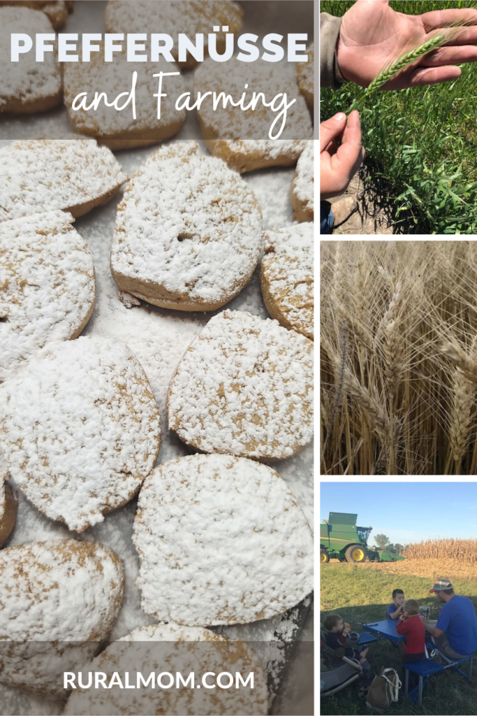 Farming and Pfeffernüsse (Recipe!) #FarmFoodTour Farming and Pfeffernüsse (Recipe!) #FarmFoodTour