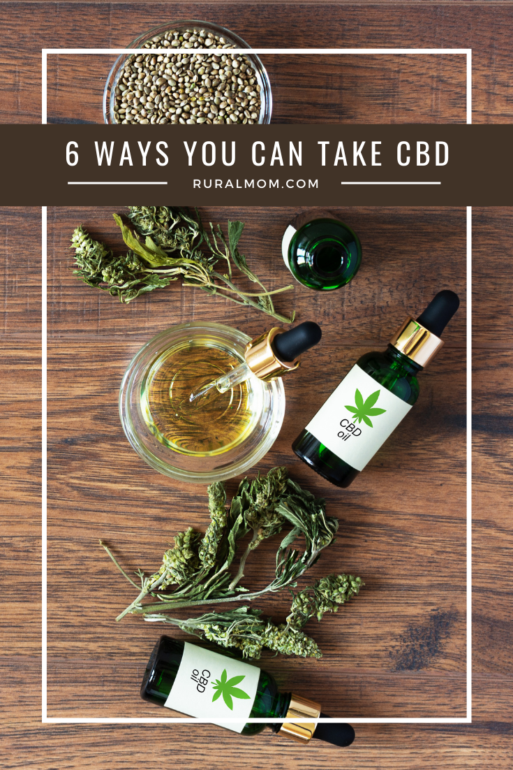 bestes cbd öl