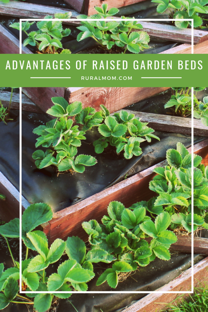 What are the advantages of raised garden beds? Rural Mom