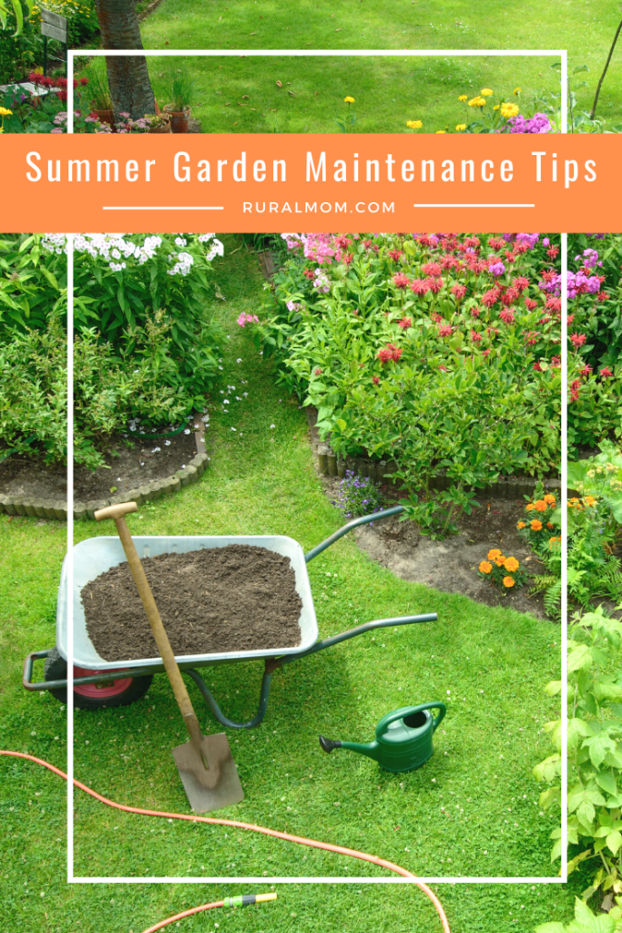 Summer Garden Maintenance Tips