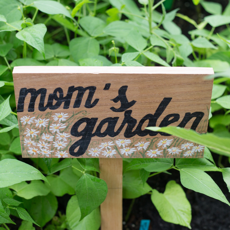 Mother's Day Gift Ideas For Gardeners & Garden Lovers Rural Mom